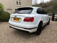 Bentley Bentayga 4.0d V8 SUV 5dr Diesel Auto 4WD Euro 6 (s/s) (435 ps) 14