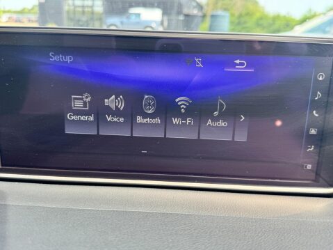 Lexus RX 3.5 450h V6 F Sport E-CVT 4WD Euro 6 (s/s) 5dr 27