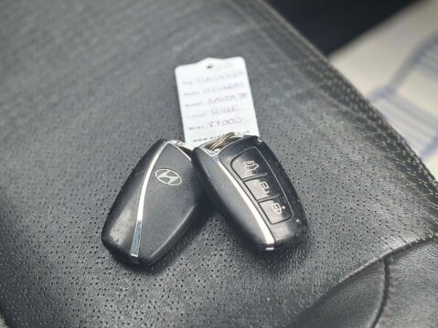 Hyundai SANTA FE 2.2 CRDi Premium SE SUV 5dr Diesel Manual 4WD Euro 5 (7 seat) (194 bhp) 66