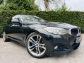 BMW 3 Series 2.0 320d M Sport GT Auto Euro 6 (s/s) 5dr 49