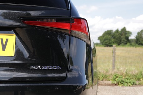 Lexus NX 300H F SPORT 11