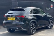 Lexus NX 300H F SPORT 11