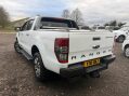 Ford Ranger 3.2 TDCi Wildtrak Pickup Double Cab 4dr Diesel Auto 4WD Euro 5 (200 ps) 15