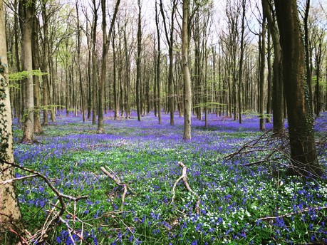 Get Outdoors In West Sussex This Springtime