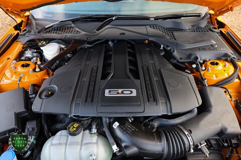 Ford Mustang 5.0 GT CONVERTIBLE 43