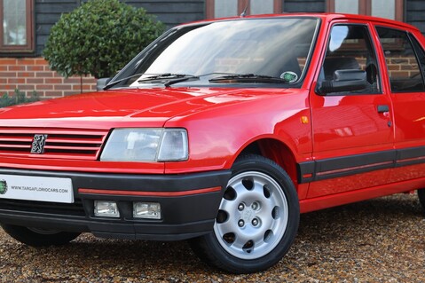 Peugeot 309 1.9 GTI 53
