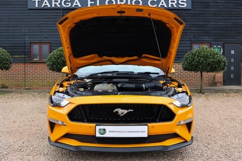 Ford Mustang GT 5.0 V8 Cabriolet Auto 44