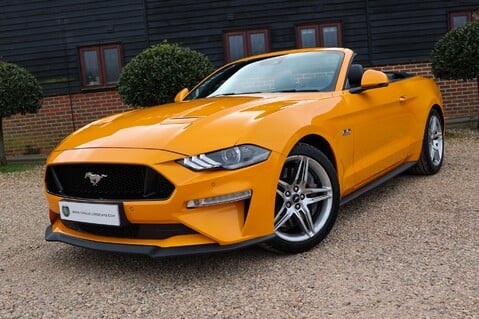 Ford Mustang GT 5.0 V8 Cabriolet Auto 49