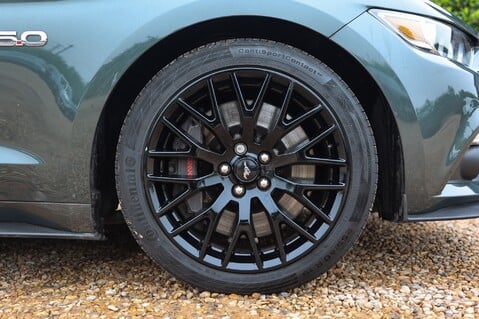 Ford Mustang GT 5.0 V8 MANUAL 13