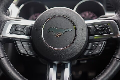 Ford Mustang GT 5.0 V8 MANUAL 19