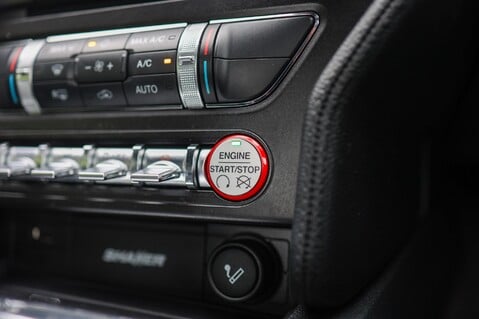 Ford Mustang GT 5.0 V8 MANUAL 22
