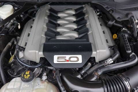 Ford Mustang GT 5.0 V8 MANUAL 45