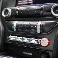 Ford Mustang GT 5.0 V8 MANUAL 1