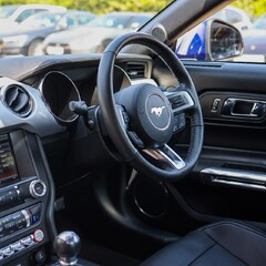 Ford Mustang 2.3 ECOBOOST MANUAL 1