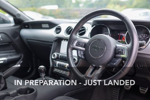 Ford Mustang GT 5.0 V8 MANUAL 4