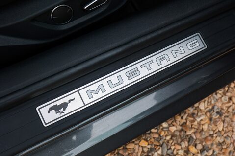 Ford Mustang GT 5.0 V8 MANUAL 32