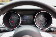 Ford Mustang GT 5.0 V8 MANUAL 31