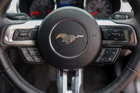 Ford Mustang GT 5.0 V8 MANUAL 24
