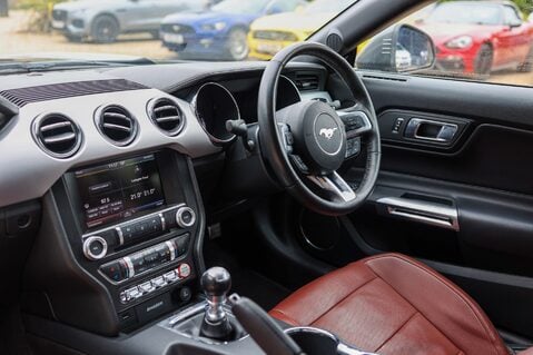 Ford Mustang GT 5.0 V8 MANUAL 17