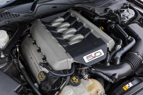 Ford Mustang GT 5.0 V8 MANUAL 50