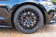 Ford Mustang GT 5.0 V8 MANUAL 13