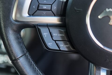 Ford Mustang GT 5.0 V8 MANUAL 22