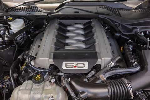 Ford Mustang GT 5.0 V8 MANUAL 39