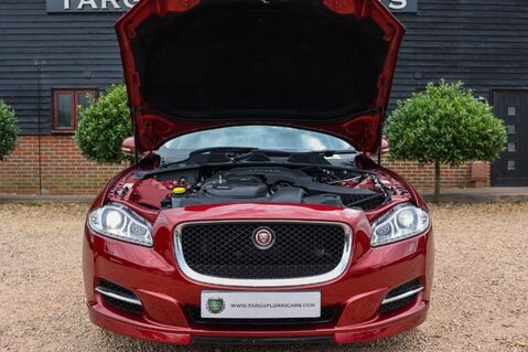 Jaguar XJ 3.0D V6 PORTFOLIO 51