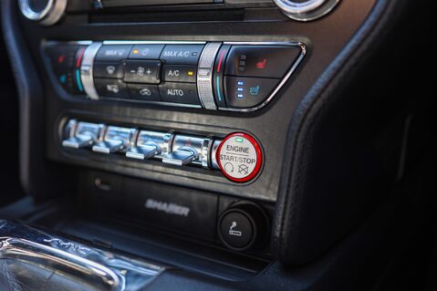 Ford Mustang GT 5.0 V8 MANUAL 22
