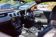Ford Mustang GT 5.0 V8 MANUAL 14