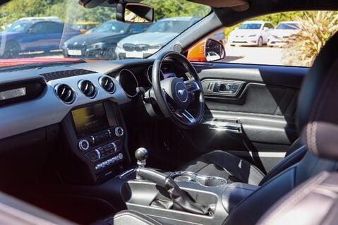 Ford Mustang GT 5.0 V8 MANUAL 14
