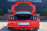 Ford Mustang GT 5.0 V8 MANUAL 50