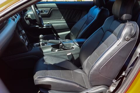 Ford Mustang GT 5.0 V8 MANUAL 15