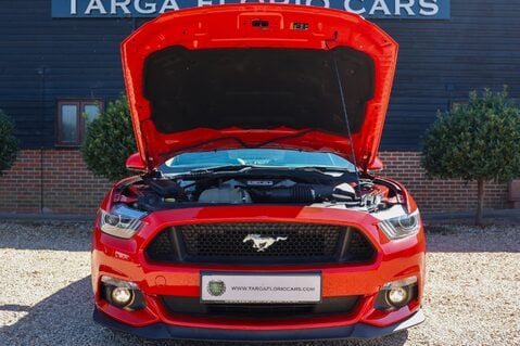 Ford Mustang GT 5.0 V8 MANUAL 41