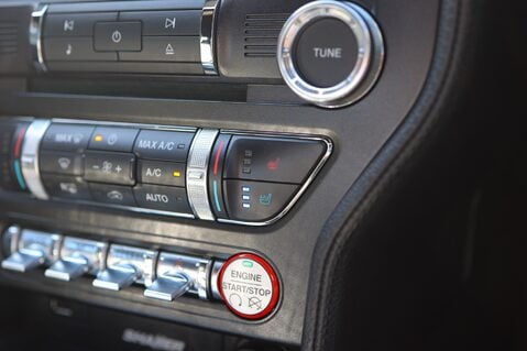 Ford Mustang GT 5.0 V8 MANUAL 25