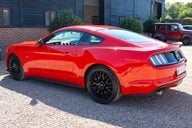 Ford Mustang GT 5.0 V8 MANUAL 49