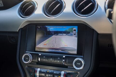 Ford Mustang GT 5.0 V8 MANUAL 4