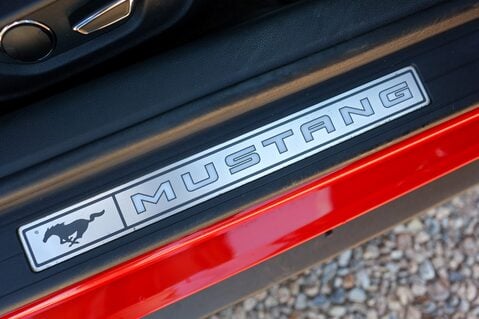 Ford Mustang GT 5.0 V8 MANUAL 33