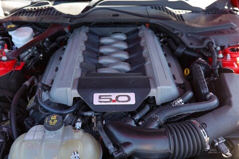 Ford Mustang GT 5.0 V8 MANUAL 42