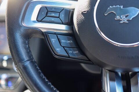 Ford Mustang GT 5.0 V8 MANUAL 19