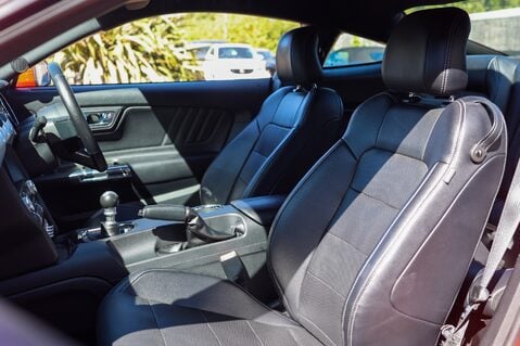 Ford Mustang GT 5.0 V8 MANUAL 13