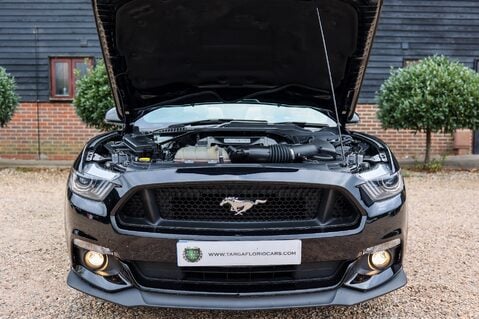 Ford Mustang GT 5.0  V8 MANUAL CABRIOLET 44