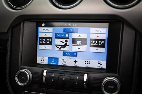 Ford Mustang GT 5.0  V8 MANUAL CABRIOLET 18