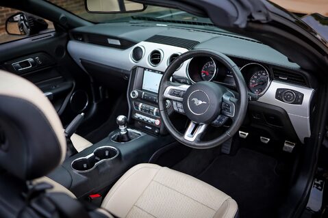 Ford Mustang GT 5.0  V8 MANUAL CABRIOLET 14