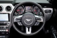Ford Mustang GT 5.0  V8 MANUAL CABRIOLET 23