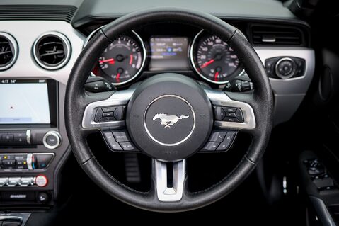 Ford Mustang GT 5.0  V8 MANUAL CABRIOLET 23