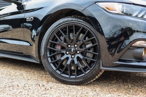 Ford Mustang GT 5.0  V8 MANUAL CABRIOLET 42