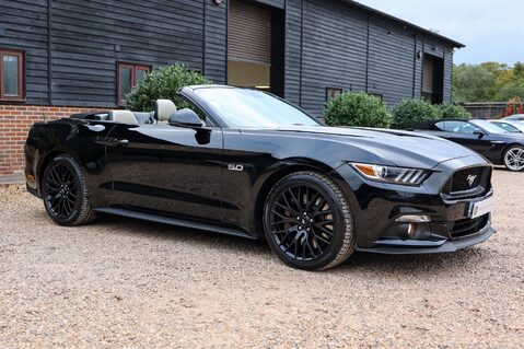 Ford Mustang GT 5.0  V8 MANUAL CABRIOLET 43