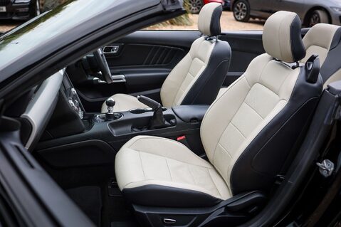 Ford Mustang GT 5.0  V8 MANUAL CABRIOLET 13