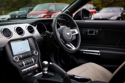 Ford Mustang GT 5.0  V8 MANUAL CABRIOLET 24